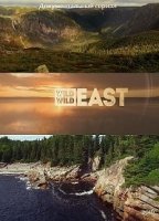 Дикий, дикий восток/Wild Wild East