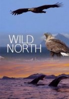 Дикий Север/Wild North