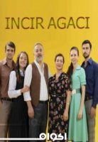 Фиговое дерево/Incir Agaci