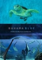 Голубые Багамы/Bahama Blue