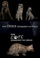Как собаки и кошки захватили мир/How Dogs And Cats Conquered The World