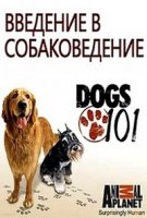 Введение в собаковедение/Animal Planet. Dogs 101