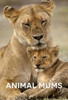 Заботливые мамы/Animal Mums