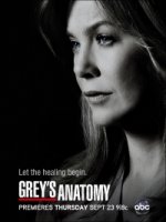 Анатомия страсти/Greys Anatomy 9 сезон