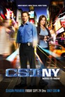Место преступления: Нью-Йорк/CSI: NY 8 сезон