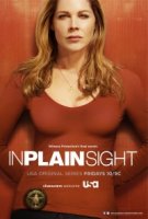 На Виду/In Plain Sight 4 сезон