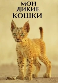 Мои дикие кошки/My Wild Cats