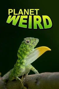 Странная планета (2024)/Planet Weird