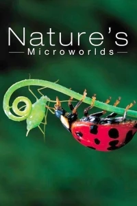 Нетронутые уголки дикой природы/Nature's Microworlds
