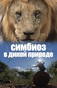 Симбиоз в дикой природе/Connection