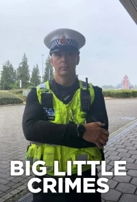 Большие маленькие преступления/Big Little Crimes